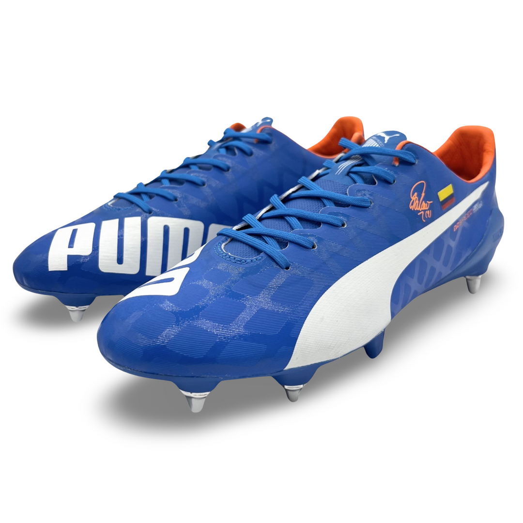 Evospeed puma 2015 best sale