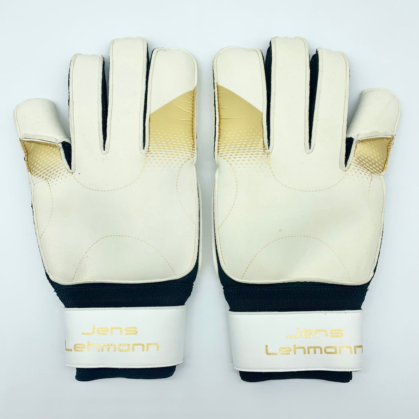 Jens Lehmann Match Issued Nike Vapor Grip 3 SMU Goalkeeper Gloves