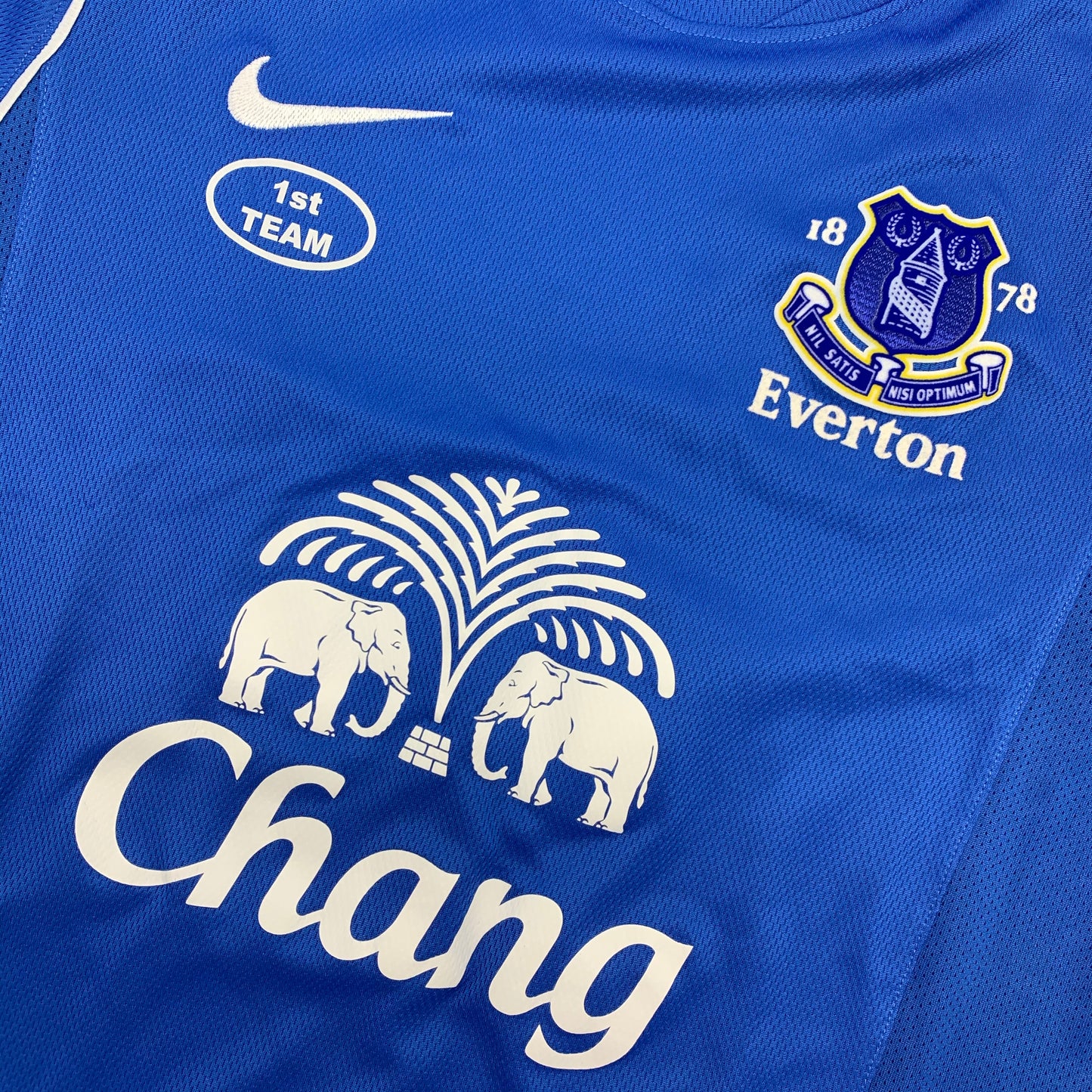 Steven Pienaar Everton Nike Dri-Fit Training Worn Camisa